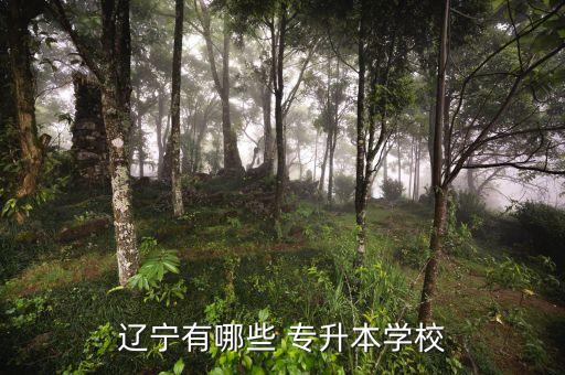 遼寧有哪些 專(zhuān)升本學(xué)校