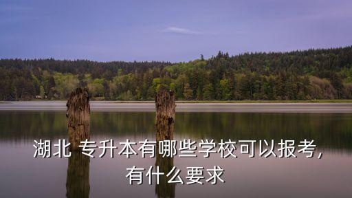  湖北 專升本有哪些學(xué)校可以報(bào)考,有什么要求