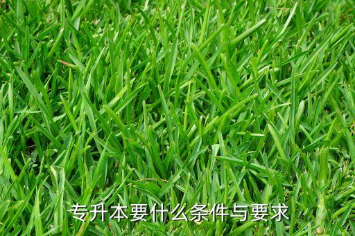 專(zhuān)升本簡(jiǎn)章,攀枝花學(xué)院2023年專(zhuān)升本簡(jiǎn)章