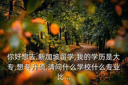 你好想去 新加坡留學(xué),我的學(xué)歷是大專(zhuān),想專(zhuān)升碩,請(qǐng)問(wèn)什么學(xué)校什么專(zhuān)業(yè)比...