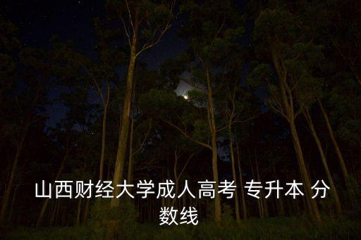  山西財經(jīng)大學(xué)成人高考 專升本 分?jǐn)?shù)線