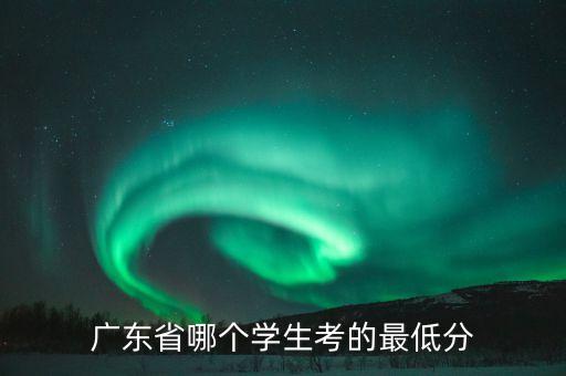 廣東省哪個學生考的最低分
