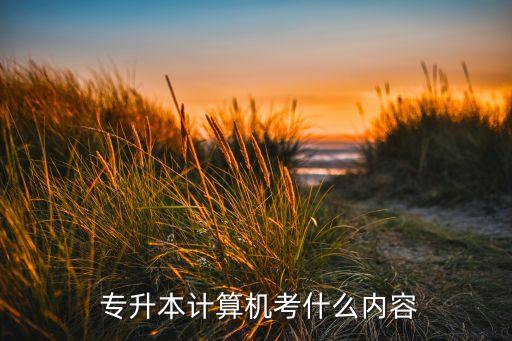  專升本計算機考什么內(nèi)容