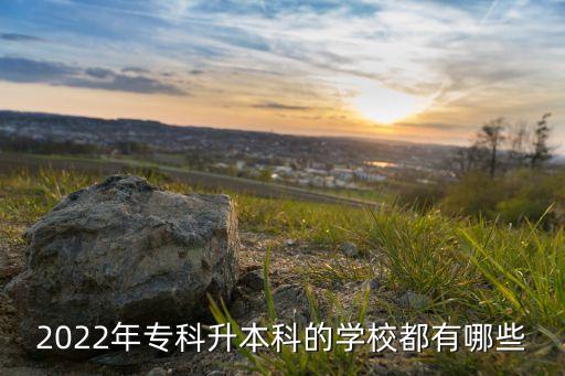 2022年?？粕究频膶W(xué)校都有哪些