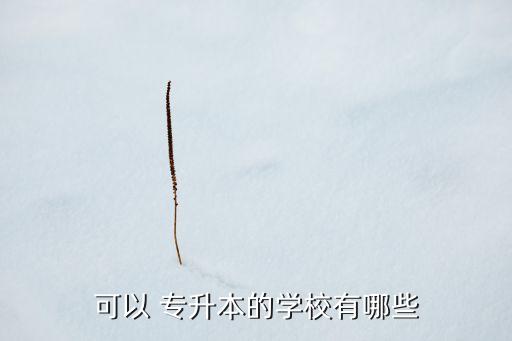 可以 專升本的學校有哪些