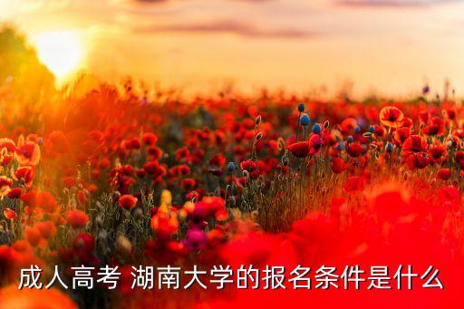 專升本自考可以報湖南大學(xué)么