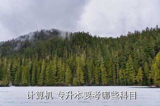 計(jì)算機(jī) 專升本要考哪些科目