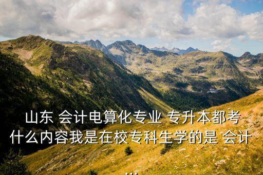  山東 會計電算化專業(yè) 專升本都考什么內(nèi)容我是在校?？粕鷮W(xué)的是 會計...