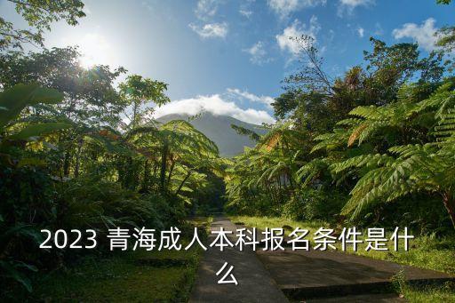 2023 青海成人本科報名條件是什么