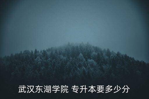 武漢東湖學(xué)院 專(zhuān)升本要多少分