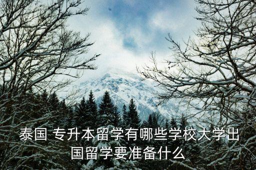  泰國(guó) 專升本留學(xué)有哪些學(xué)校大學(xué)出國(guó)留學(xué)要準(zhǔn)備什么