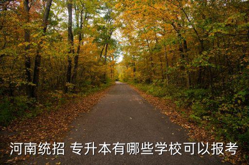 河南統(tǒng)招 專升本有哪些學(xué)?？梢詧?bào)考