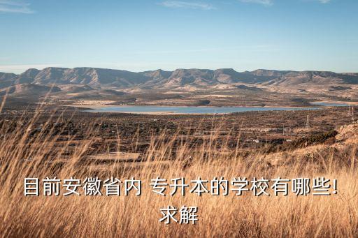 目前安徽省內(nèi) 專(zhuān)升本的學(xué)校有哪些!求解