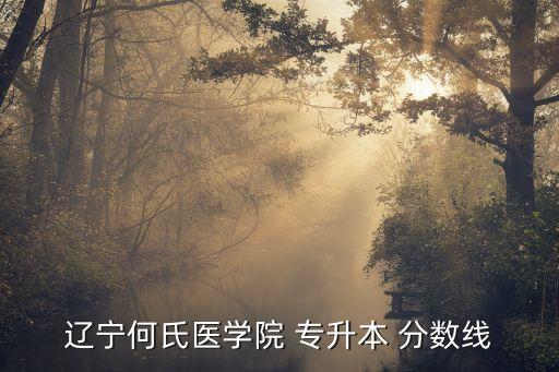遼寧何氏醫(yī)學(xué)院 專(zhuān)升本 分?jǐn)?shù)線(xiàn)