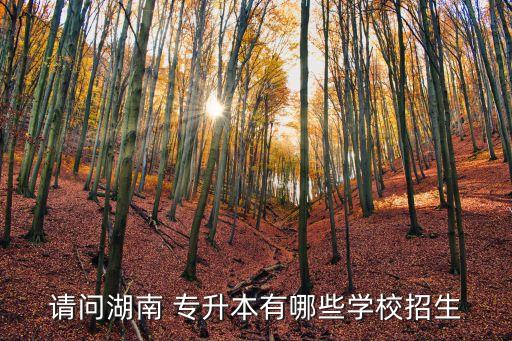 請問湖南 專升本有哪些學(xué)校招生
