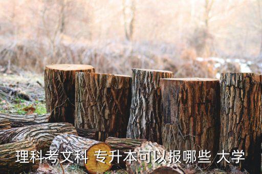 理科考文科 專升本可以報哪些 大學