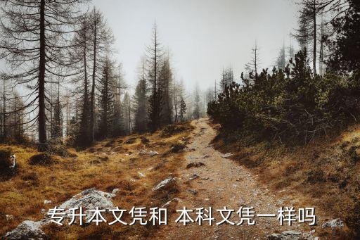 國(guó)外專升本學(xué)歷跟本科學(xué)歷一樣嗎,專升本學(xué)歷和自考本科學(xué)歷區(qū)別