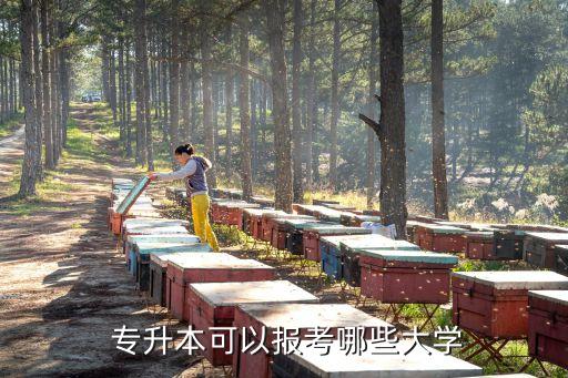  專升本可以報考哪些大學
