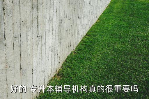 好的 專(zhuān)升本輔導(dǎo)機(jī)構(gòu)真的很重要嗎