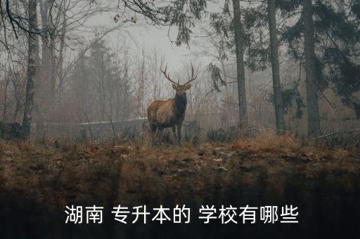  湖南 專(zhuān)升本的 學(xué)校有哪些