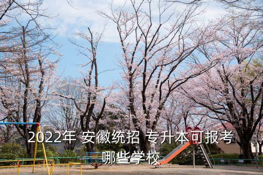 安徽建筑大學專升本岳銳