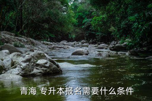  青海 專(zhuān)升本報(bào)名需要什么條件