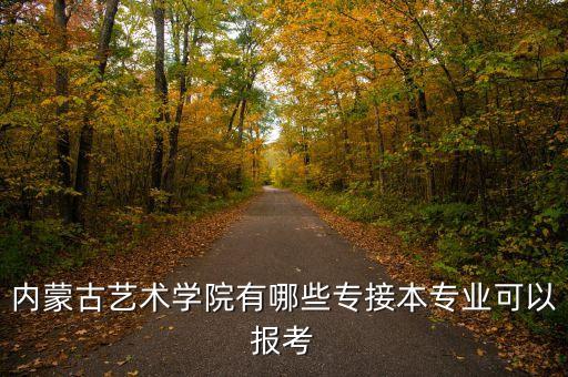 內(nèi)蒙古藝術(shù)學(xué)院有哪些專(zhuān)接本專(zhuān)業(yè)可以報(bào)考