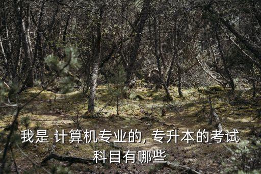 我是 計算機專業(yè)的, 專升本的考試科目有哪些