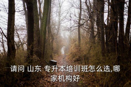 請問 山東 專升本培訓(xùn)班怎么選,哪家機(jī)構(gòu)好