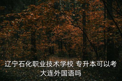 遼寧石化職業(yè)技術(shù)學(xué)校 專升本可以考大連外國(guó)語嗎