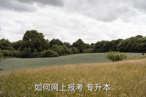 如何網上報考 專升本