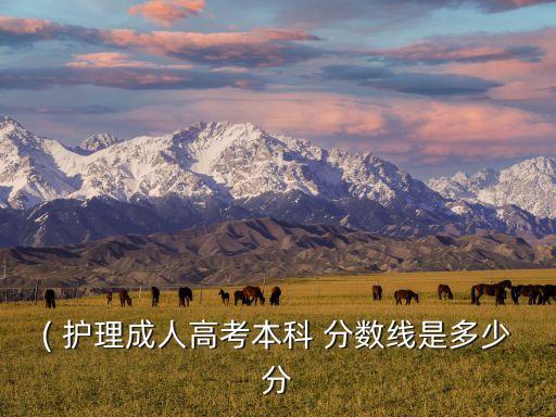 山東省護理類歷年專升本分數線是多少