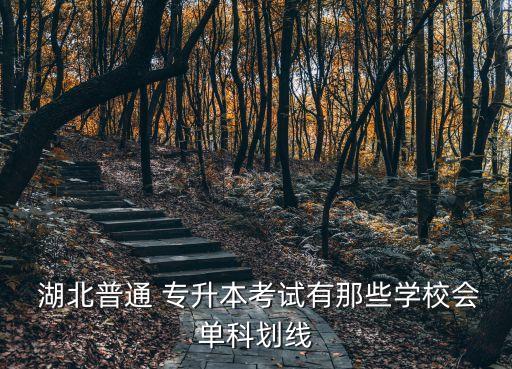  湖北普通 專升本考試有那些學(xué)校會單科劃線