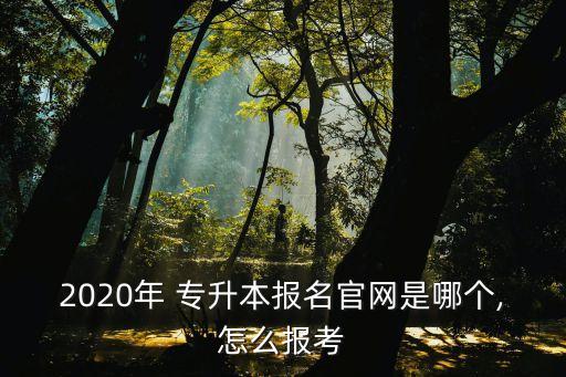 2020年 專升本報(bào)名官網(wǎng)是哪個(gè),怎么報(bào)考