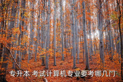  專升本 考試計算機(jī)專業(yè)要考哪幾門
