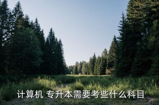 遼寧計(jì)算機(jī)專(zhuān)業(yè)專(zhuān)升本考試范圍,湖北省計(jì)算機(jī)專(zhuān)業(yè)專(zhuān)升本考試內(nèi)容