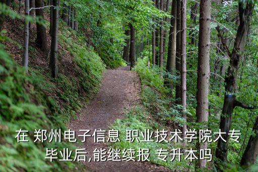 在 鄭州電子信息 職業(yè)技術(shù)學(xué)院大專畢業(yè)后,能繼續(xù)報 專升本嗎