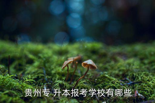 貴州專 升本報考學校有哪些