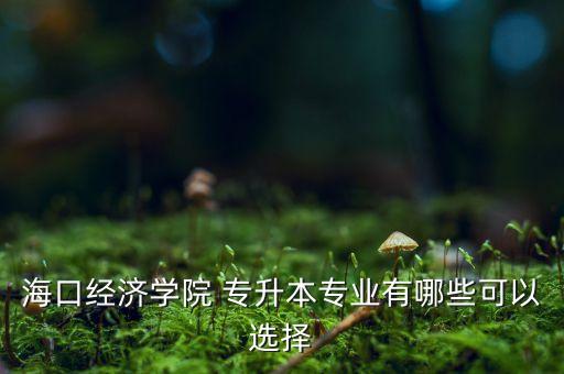 ?？诮?jīng)濟學院 專升本專業(yè)有哪些可以選擇