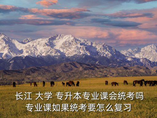 長江 大學 專升本專業(yè)課會統(tǒng)考嗎專業(yè)課如果統(tǒng)考要怎么復習