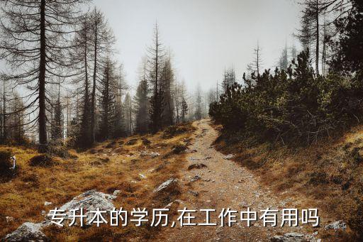  專(zhuān)升本的學(xué)歷,在工作中有用嗎