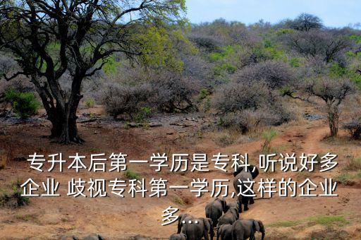  專升本后第一學(xué)歷是?？?聽說好多企業(yè) 歧視專科第一學(xué)歷,這樣的企業(yè)多...