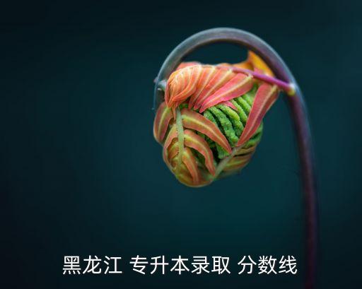 黑龍江 專升本錄取 分數(shù)線