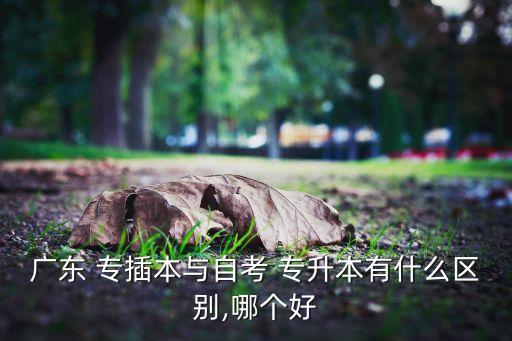 廣東 專插本與自考 專升本有什么區(qū)別,哪個(gè)好