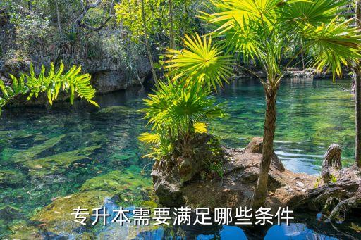 專升本有啥要求,吉林專升本有啥學校