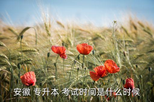 安徽省專升本考試網(wǎng)上報(bào)名,新疆招生網(wǎng)專升本考試網(wǎng)上報(bào)名