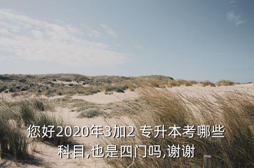臨沂專升本英語,青島理工大學臨沂校區(qū)專升本
