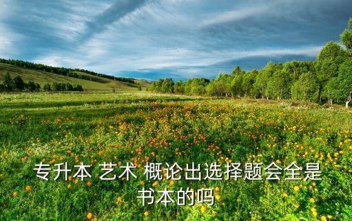  專升本 藝術(shù) 概論出選擇題會(huì)全是書本的嗎