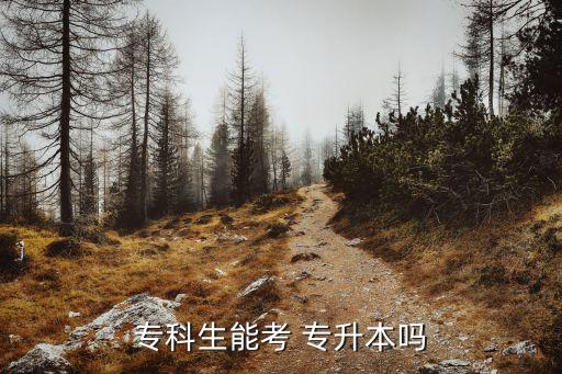 ?？粕芸?專升本嗎