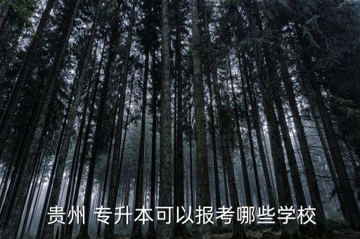  貴州 專升本可以報考哪些學校